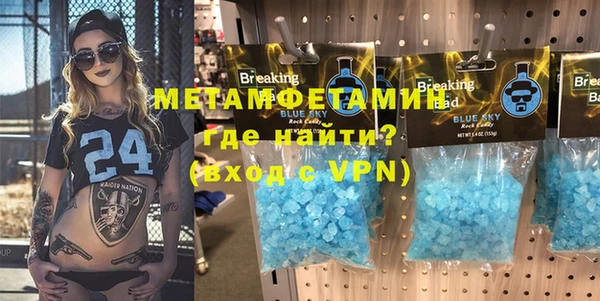 крисы Новозыбков