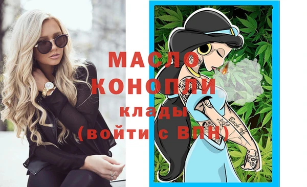 стафф Новодвинск