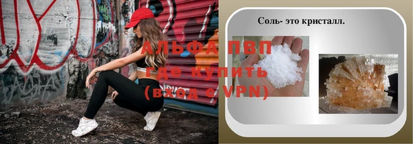 стафф Новодвинск