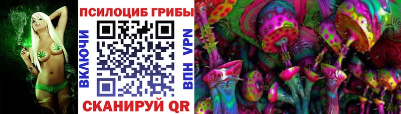 Псилоцибиновые грибы Psilocybe  Купить  Цимлянск